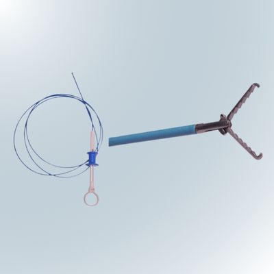 Biopsy Forceps – Rat Tooth