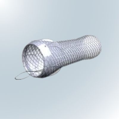 Bravo Esophageal Stent with Anti-Reflux Valve