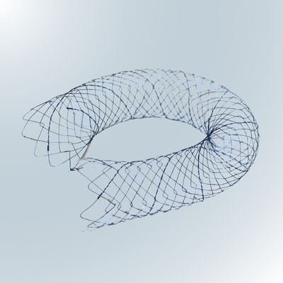 Uncovered Biliary Stent