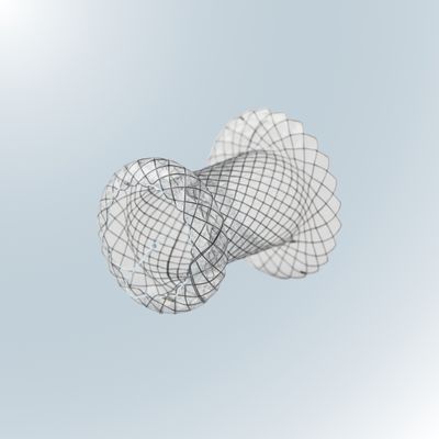 Pseudocyst Stent