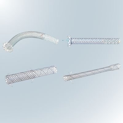 Partially Covered for Hepaticogastrostomy