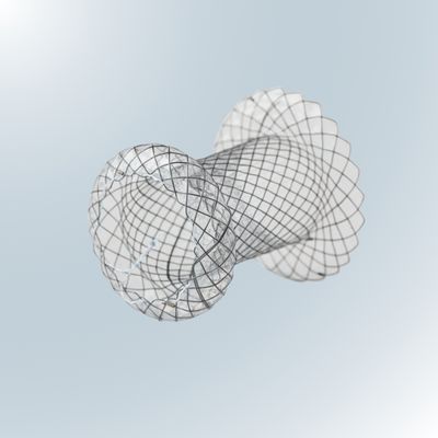 Pancreatic Stent Honto ( RF BASED PSEUDOCYST STENT )